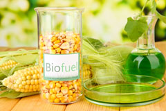 Lower Holloway biofuel availability